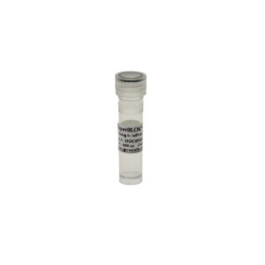 Fluorometric Grade Human Cot-1 DNA